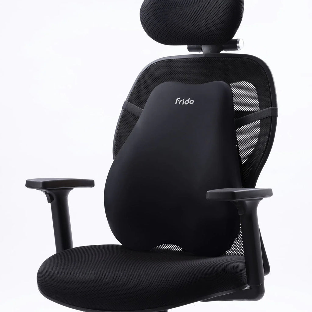 Frido Cloud Backrest Cushion