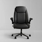 Frido 3D Posture Plus Ergonomic Chair