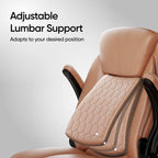 Frido 3D Posture Plus Ergonomic Chair