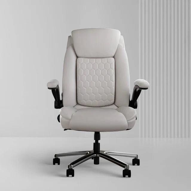 Frido 3D Posture Plus Ergonomic Chair