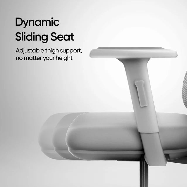 Frido AeroMesh Ergo Chair