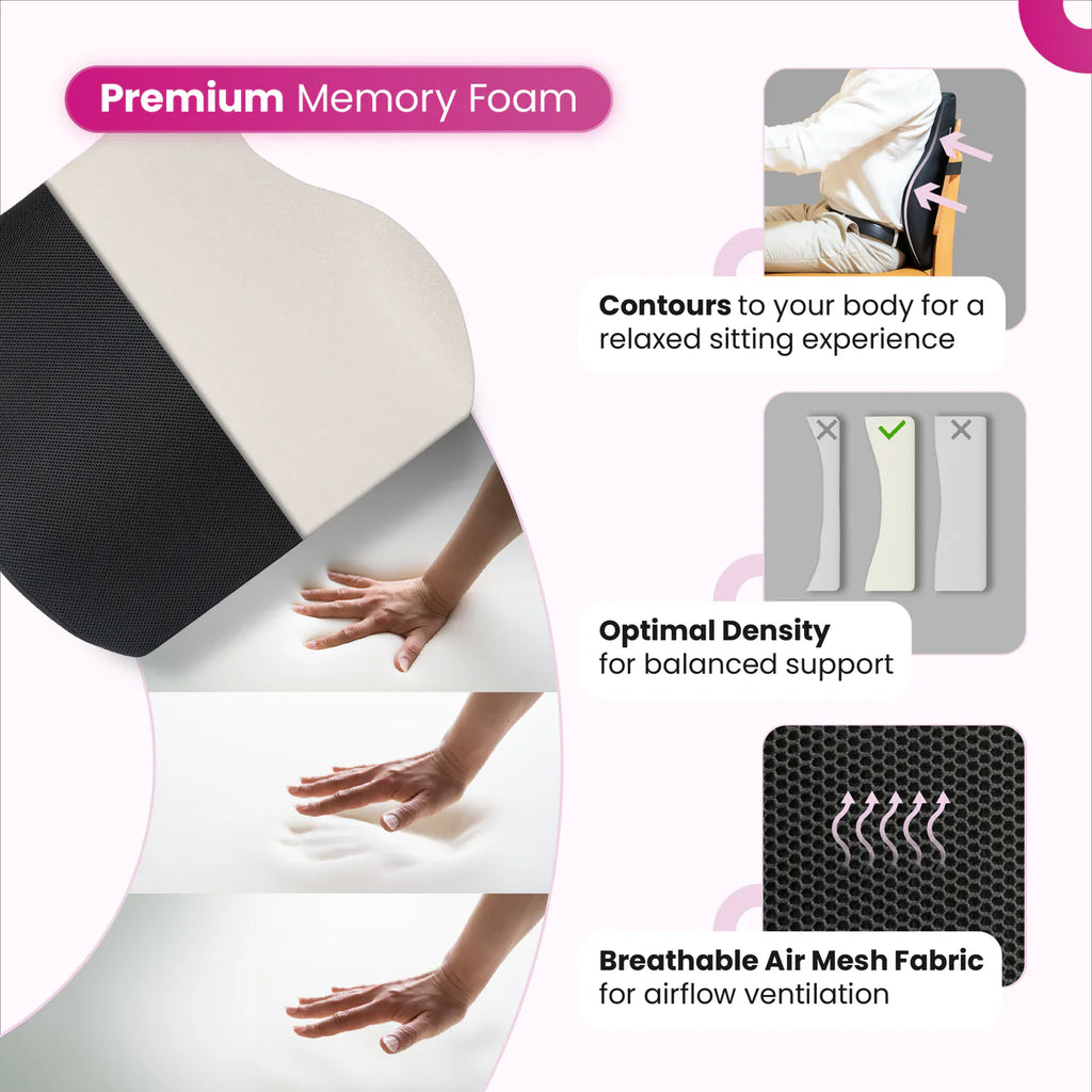 ERGO Backrest Cushion