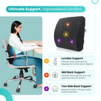 ERGO Lumbar Support Cushion
