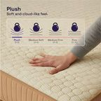 Latex Hybrid Pocket Spring Mattress