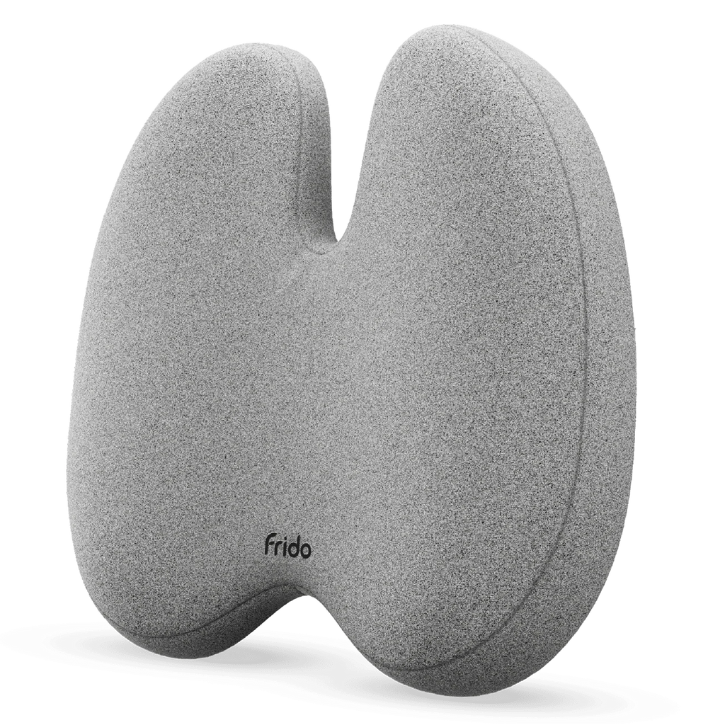 Frido Ultimate Pro Posture Corrector