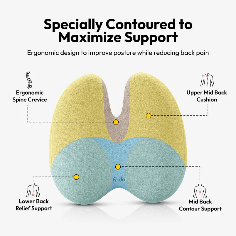 Frido Ultimate Pro Seating Combo