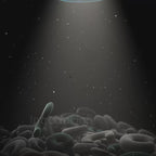 Frido Travel Neck Pillow