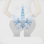 Frido Ultimate Coccyx Seat Cushion