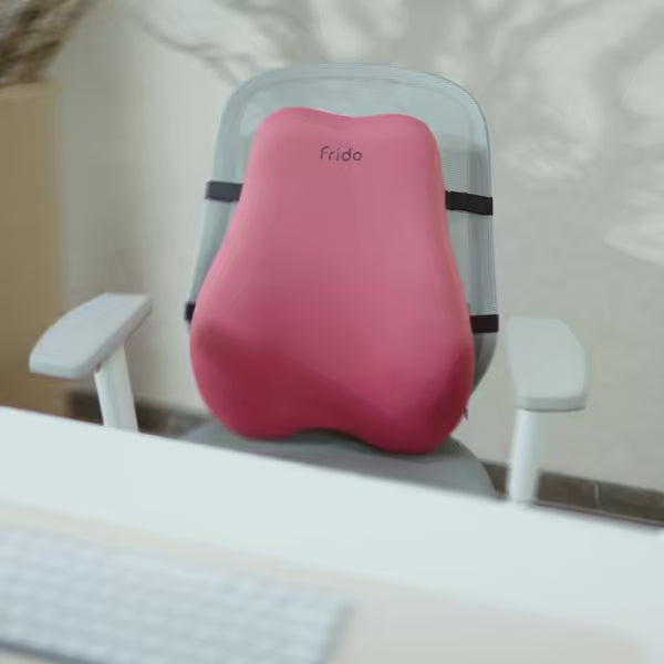Frido Cloud Backrest Cushion